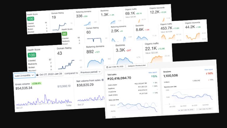 Client dashboards showing traffic, sales and search growth